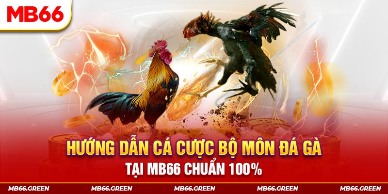 w88hn xổ số chủ nhật