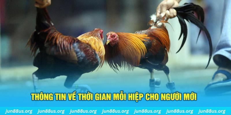 w88hn R88 Điện Tử