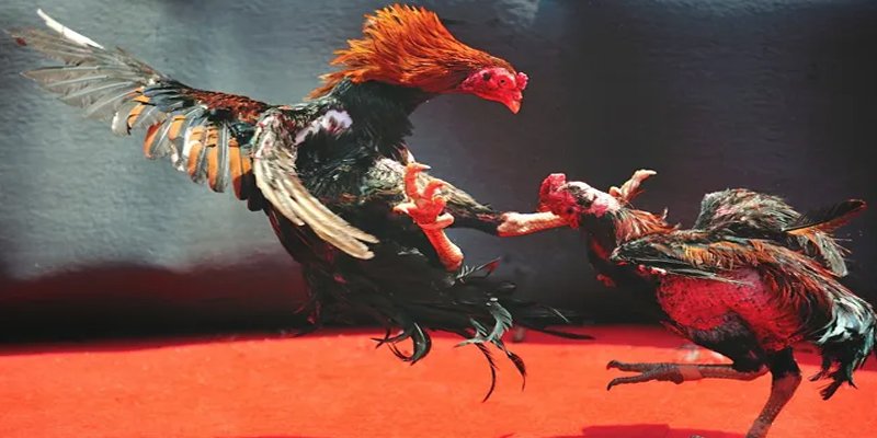 w88hn what is an online slot