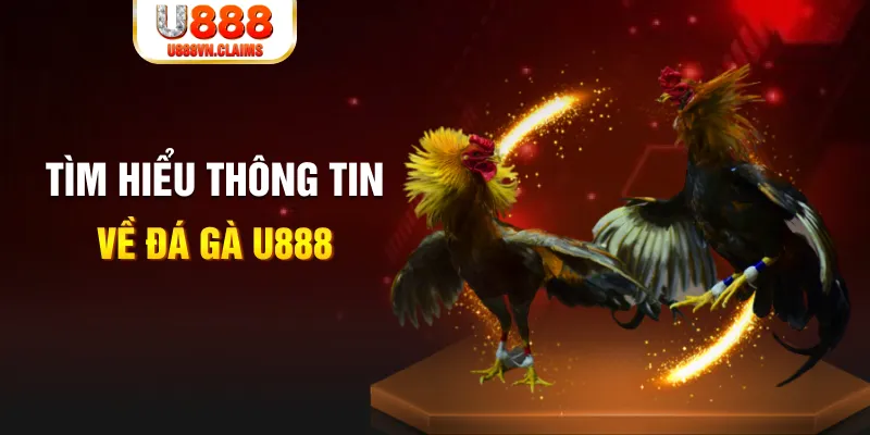 đăng nhập roulette