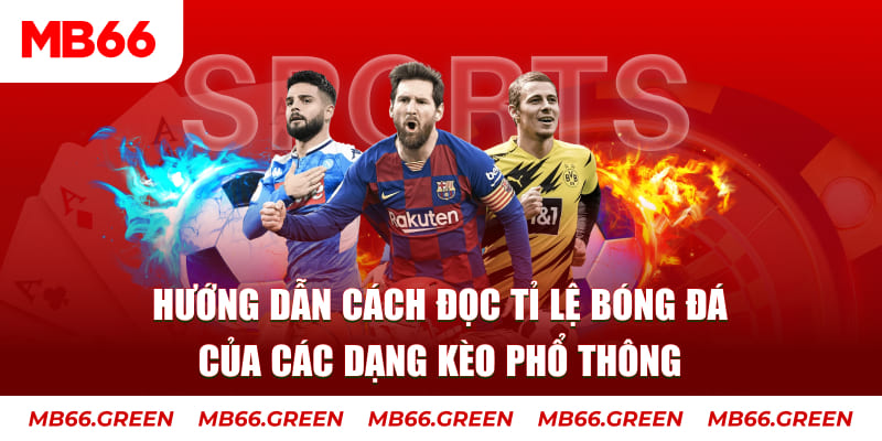 w88hn đá gà thomo trực tiếp