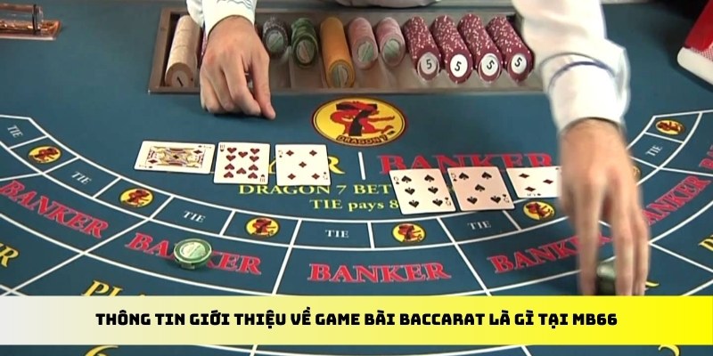 w88hn đăng nhập poker đổi thưởng