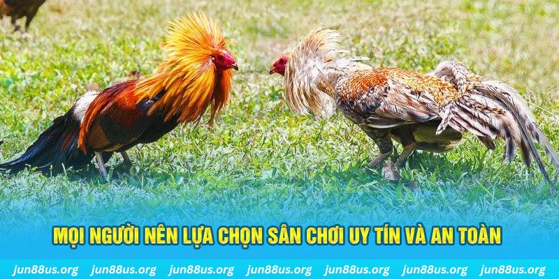 w88hn KA Bắn cá