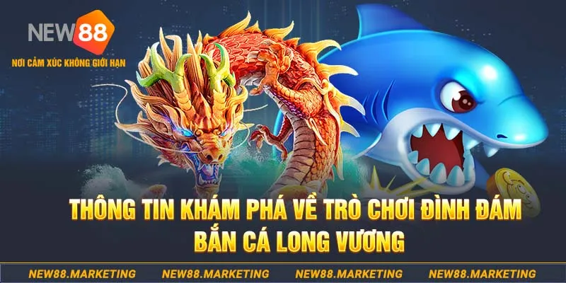 w88hn xổ số 30 ngày
