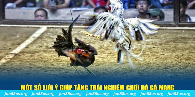 w88hn bắn cá kingfun
