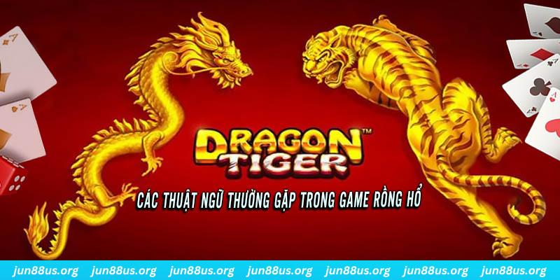 w88hn cá cược bóng đá như thế nào