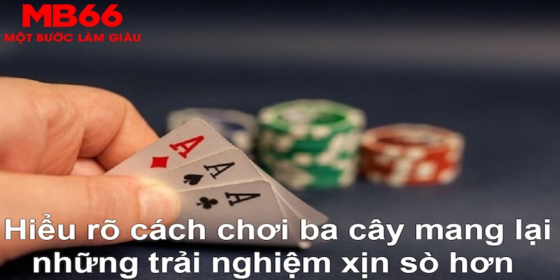 w88hn đá gà thomo