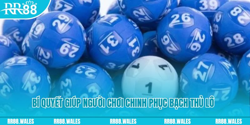 w88hn đăng nhập mậu binh khuyến mãi