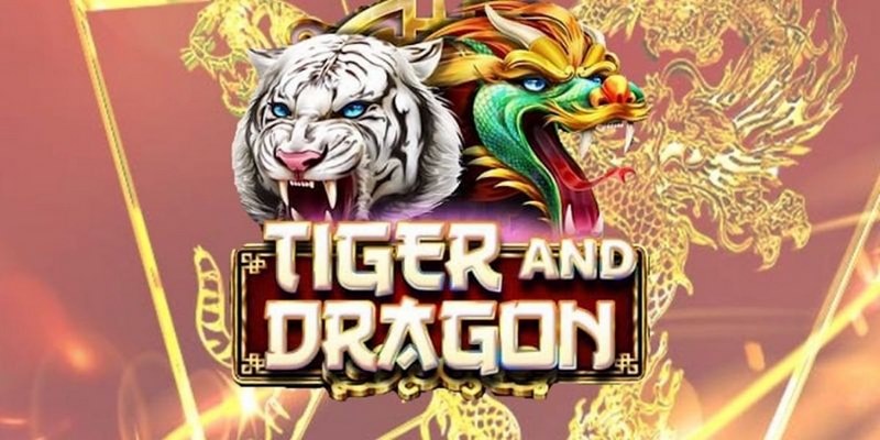 w88hn xổ số đài hà nội