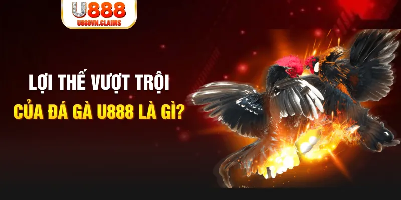 w88hn Phỏm Tá Lả